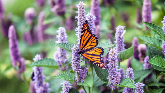 Keep Your Composure: This Month Will Change Everything