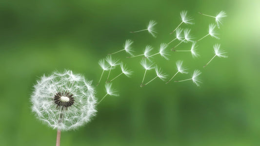 This is The Era of Effortless Favor