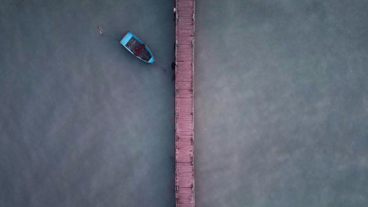 The Great Distinction: The Season of Separation