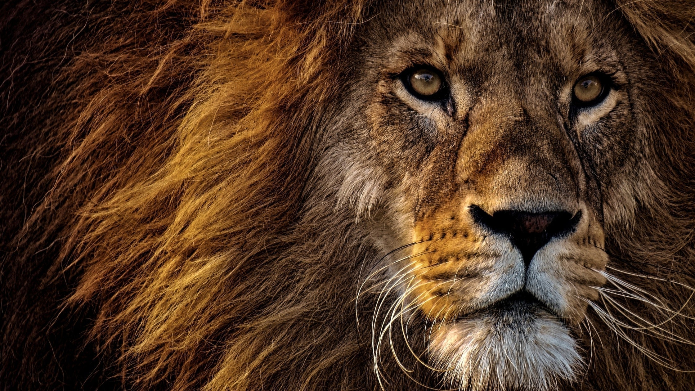 You Were Chosen for This: Strength, Success, and Divine Favor